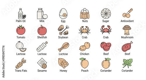A comprehensive and artistic vector depiction of common food allergens and ingredients, meticulously crafted with outlines in a colorful style, perfectly showcasing potentially harmful dieta