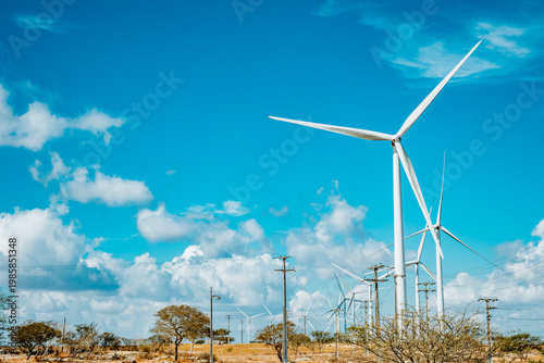 Fotografía Turbinas eólicas sob céu azul em Ventuosa Pernambuco