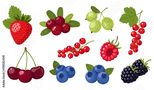 Berry fruit vector illustration set garden berries strawberry raspberry
