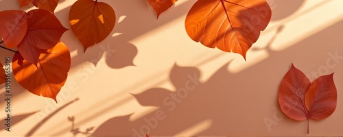 Abstract Botanical Leaf Background with Shadow and Light Overlay