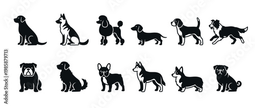 Dogs breeds collection featuring various canine pets in a flat black and white silhouette style illustration.