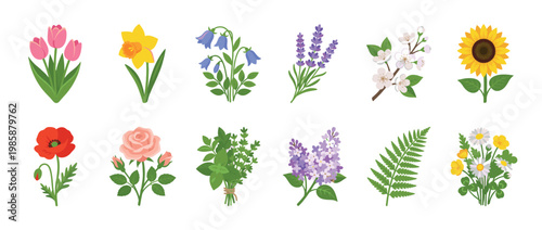 Collection of diverse spring and summer flowers and plants in a vibrant flat vector illustration style.