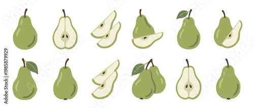 Green pears fruit illustration set with whole, half, and sliced pears in a charming hand-drawn style, perfect for healthy food concepts.