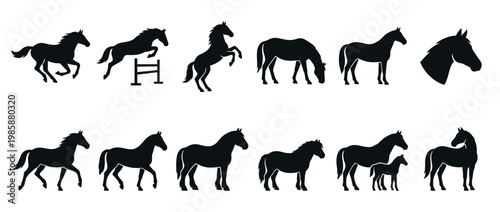 Horses silhouettes collection showcasing various poses and actions including running, jumping, rearing, grazing, and standing, with a foal and a horse head.