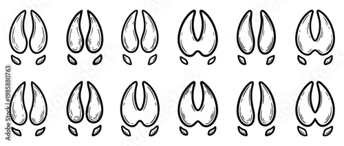 Animal hoof prints vector illustration set featuring various cloven hooves and tracks from different wildlife species.