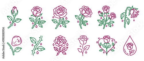 Collection of stylized rose illustrations featuring various stages of bloom, wilting, and abstract designs with symbolic teardrops, rendered in a modern line art style.