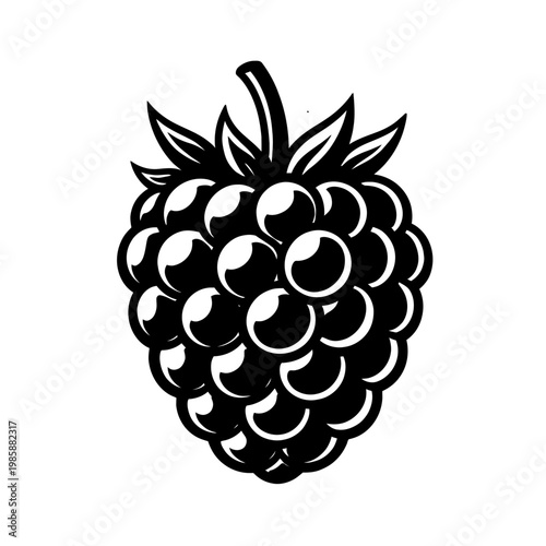 Blackberry Fruit Illustration in Black and White on White Background