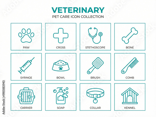 A comprehensive veterinary and pet care icon collection featuring twelve essential animal healthcare symbols in a professional teal line-art style