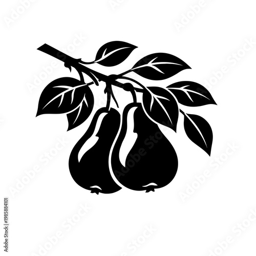Black silhouette of two pears hanging from a tree branch with leaves isolated on white background