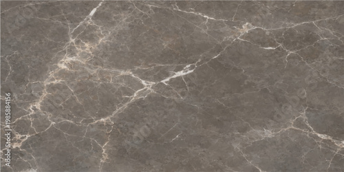 A close-up shot of a sophisticated stone pattern that is marble. It is a stunning display of natural elegance and beauty.