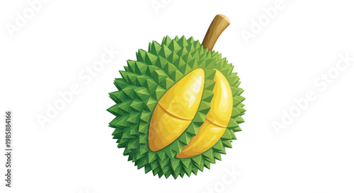 A vibrant illustration depicts a spiky durian fruit, sliced open to reveal its creamy yellow segments, set against a clean white background with a flat, graphic style that highlights