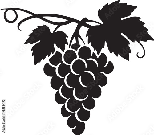 clean black silhouette of grapevine bunch hanging low