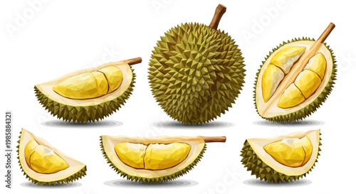 A collection of durian fruit pieces is displayed in a bright, flat lay composition against a clean white background, showcasing the spiky outer shell and creamy yellow flesh