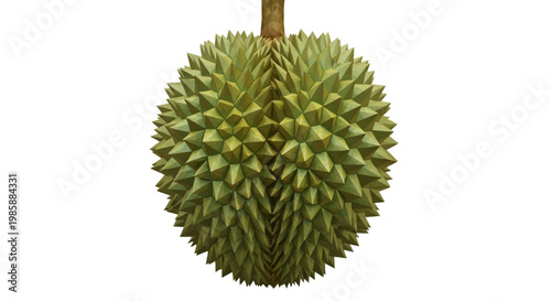 Isolated on a white background, a whole durian fruit with its distinctive spiky green outer shell is presented in a close-up shot that highlights its unique texture and form with natural
