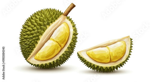 Detailed digital illustration of a halved durian fruit with its thorny green rind and creamy yellow flesh, alongside a single slice, all set against a stark white backdrop with soft