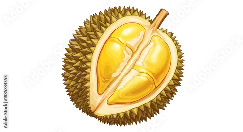 Watercolor illustration of a halved durian fruit, revealing its creamy yellow flesh, is presented in a detailed, realistic style against a plain white background, creating a vibrant