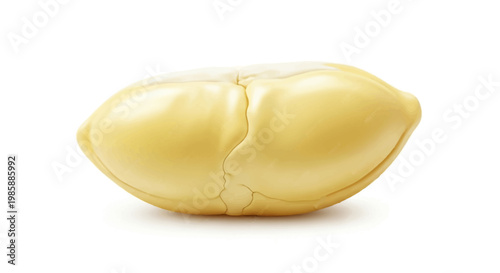 A single shelled macadamia nut, presented in a studio shot with sharp focus and subtle shadows to accentuate its texture, set against a clean, bright white background, evoking a sense