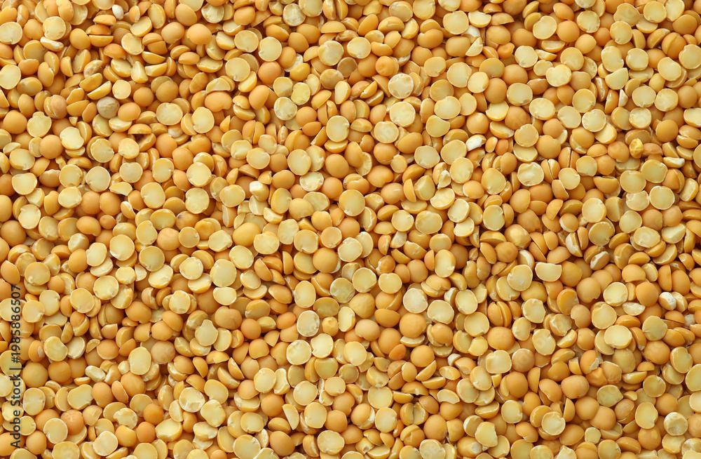 Fototapeta premium Pea grains in big pile on table close up. Large amount of yellow pea seeds