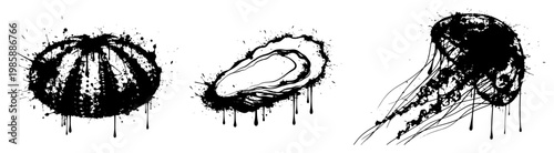 Sea urchin oyster shell and jellyfish set in ink splatter style