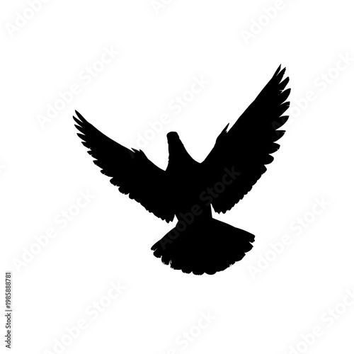 Dove silhouette flying with open wings, vector