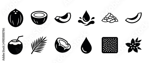 Coconut fruit, water, milk, and oil icons represent tropical ingredients and healthy food products for various uses.