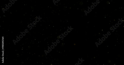 Cuadro en lienzo Close-up of floating dust particles in air, isolated on black background