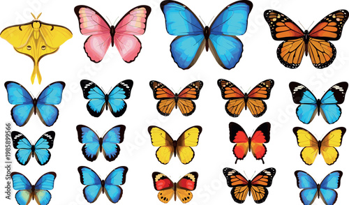 Bright butterfly collection set colorful realistic insects wings diverse species arrangement isolated nature illustration for design projects