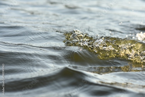 Water splashes in the lake, close-up, abstract background