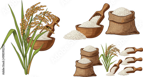 Detailed Rice Plant and Grain Set with Burlap Sack Wooden Bowl and Scoop Harvest Agriculture Food Vector Illustration