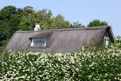 Typical thatched roof on the island of Tunø, Denmark