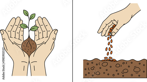 Hand Holding Young Plant Seedling with Soil and Hand Sowing Seeds into Ground Farming Nature Care Vector Illustration Set