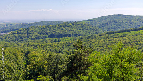 Aerial View of Green Woods at Fruska Gora Mountain Landscape Nature Vojvodina