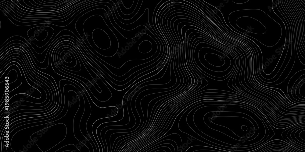 Fototapeta premium Black topographic map background with subtle grey contour lines, abstract dark wavy pattern for tech and minimal design. dark charcoal and black tones with elegant, thin grey contour lines
