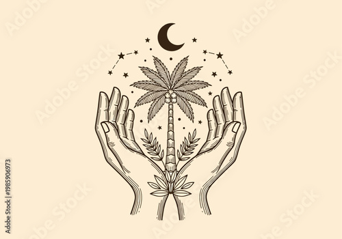 Mystical Line Art Illustration of Hands Holding a Palm Tree with Crescent Moon and Stars, Celestial Esoteric Bohemian Design