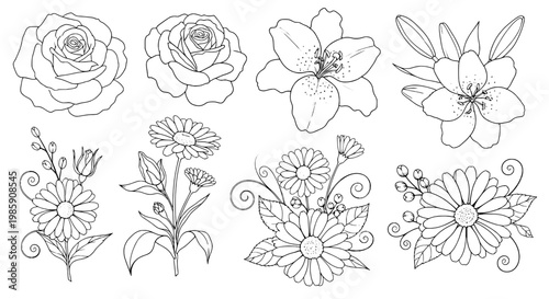 Flowers hand drawn set with black line art, featuring roses, daisies, and other floral designs, with detailed petals and leaves.