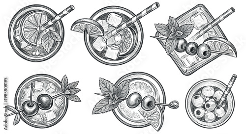 Cocktail icons, drink illustrations, citrus fruit, bar elements, 6 vector graphics