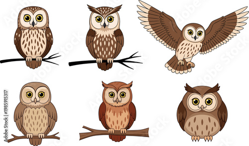 Owl vector illustration set with cute forest birds perched and flying wildlife animal collection design