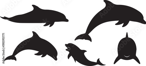 A group of dolphin silhouettes swimming in different directions on a white background