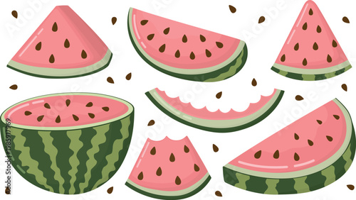 Set of assorted watermelon pieces and seeds. Illustration with half fruit, triangular slice, semi‑circular wedge, quarter piece and bitten slice