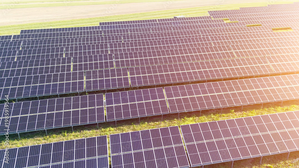 Naklejka premium Evening sun over solar panel field