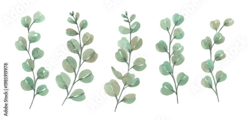 Watercolor painting of green leaves on a white background