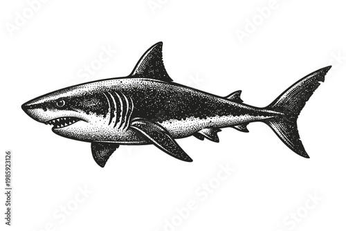 A black and white illustration of a shark with an open mouth and sharp teeth on a white background
