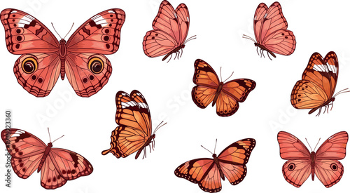 Realistic orange butterfly vector collection with detailed wings flying insects and nature wildlife illustration set
