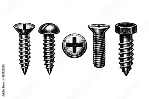 Detailed illustration of various screws and a washer on a white background for hardware and construction concepts