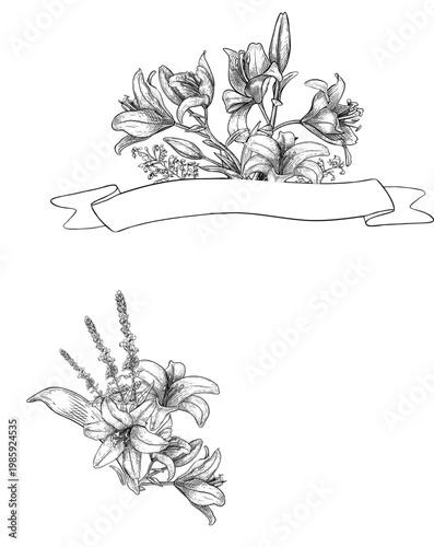 Lily flower and meadow herbs arrangement outline vector illustration. Botanical blossom drawing black white line art. Monochrome floral sketch for wedding invitation card. Vintage lily hand drawn.