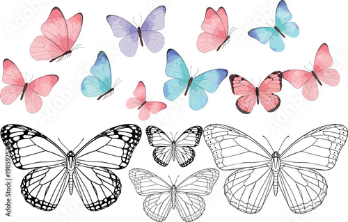Watercolor pastel butterflies collection with hand drawn sketch outlines colorful insect wings set for nature design illustration