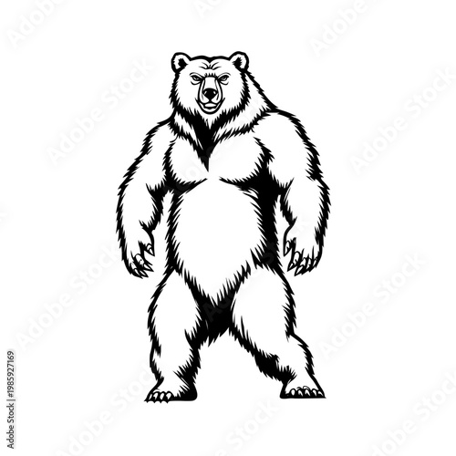 vector illustration of cartoon bear