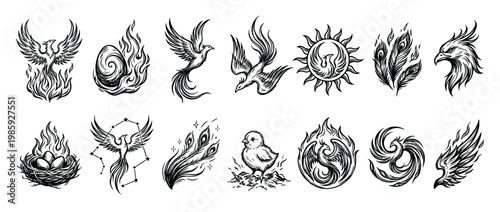 Diverse set of black and white phoenix bird myth illustrations, depicting the legendary creature in fiery rebirth, powerful flight, and symbolic forms, all rendered with a detailed hand-drawn style