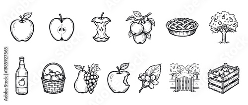 Hand-drawn apple and fruit icon set collection with pie, cider, tree, and orchard illustrations in a black and white sketch style for farming and harvest concepts