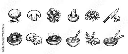 Set of black ink mushroom food sketches showing whole, sliced, and chopped champignons, a frying pan with ingredients, a bowl of soup, a knife, and fresh parsley